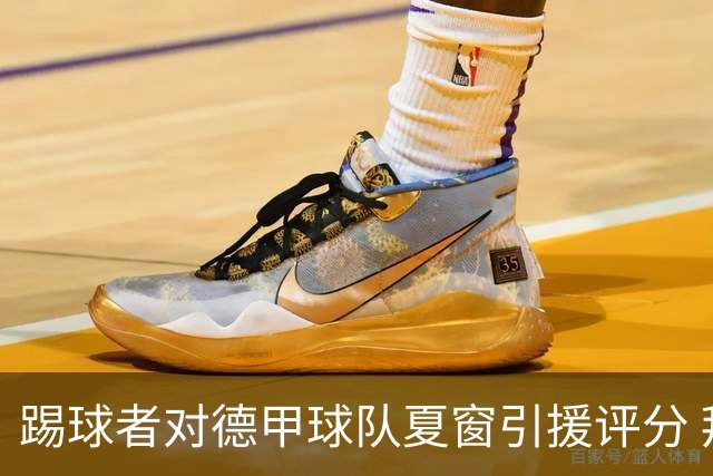 踢球者对德甲球队夏窗引援评分 拜仁第一多特第十